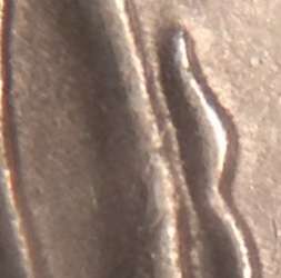 23.02.2016-006.jpg